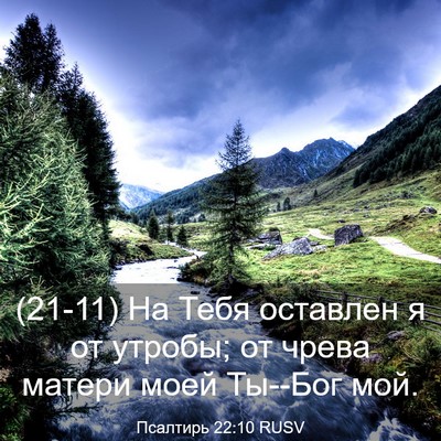 Picture 03 - Псалтирь 22:10 RUSV - (21-11) На Тебя оставлен я от - Bible Verse Picture