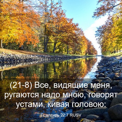 Picture 03 - Псалтирь 22:7 RUSV - (21-8) Все, видящие меня, - Bible Verse Picture