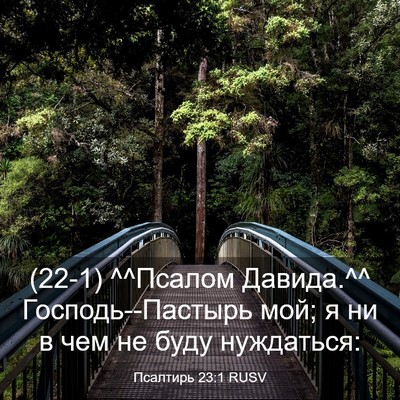Picture 03 - Псалтирь 23:1 RUSV - (22-1) ^^Псалом Давида.^^ - Bible Verse Picture