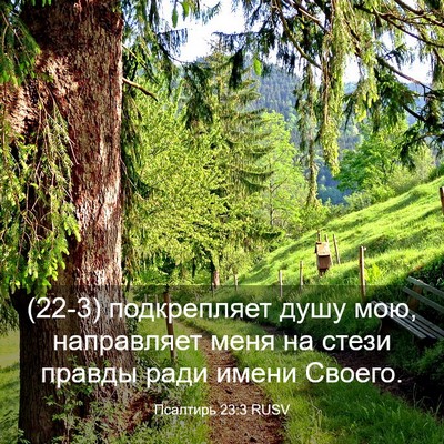 Picture 03 - Псалтирь 23:3 RUSV - (22-3) подкрепляет душу мою, - Bible Verse Picture
