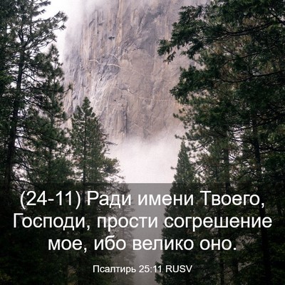 Picture 03 - Псалтирь 25:11 RUSV - (24-11) Ради имени Твоего, - Bible Verse Picture