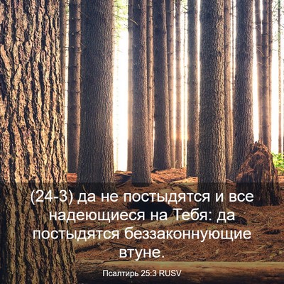 Picture 03 - Псалтирь 25:3 RUSV - (24-3) да не постыдятся и все - Bible Verse Picture