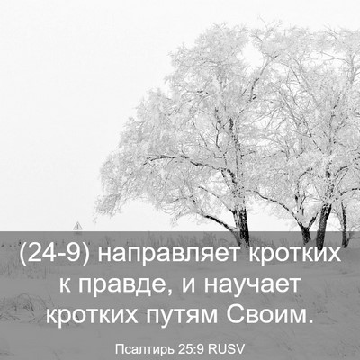 Picture 03 - Псалтирь 25:9 RUSV - (24-9) направляет кротких к - Bible Verse Picture