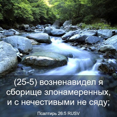 Picture 03 - Псалтирь 26:5 RUSV - (25-5) возненавидел я сборище - Bible Verse Picture