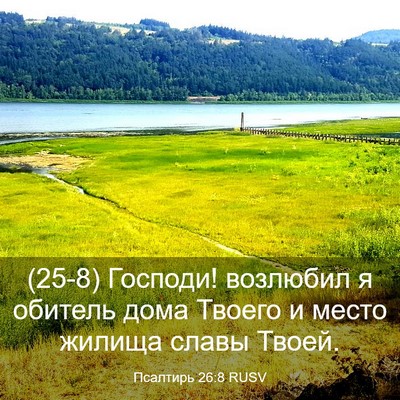 Picture 03 - Псалтирь 26:8 RUSV - (25-8) Господи! возлюбил я - Bible Verse Picture
