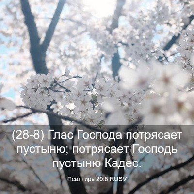 Picture 03 - Псалтирь 29:8 RUSV - (28-8) Глас Господа потрясает - Bible Verse Picture