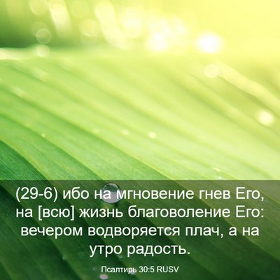 Picture 03 - Псалтирь 30:5 RUSV - (29-6) ибо на мгновение гнев - Bible Verse Picture
