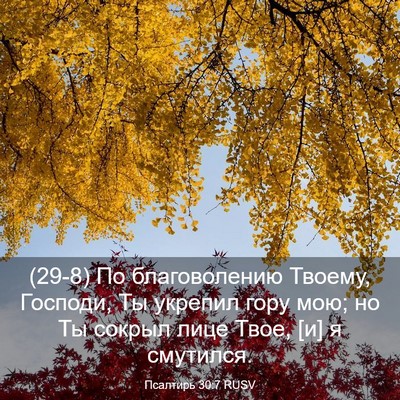 Picture 03 - Псалтирь 30:7 RUSV - (29-8) По благоволению - Bible Verse Picture