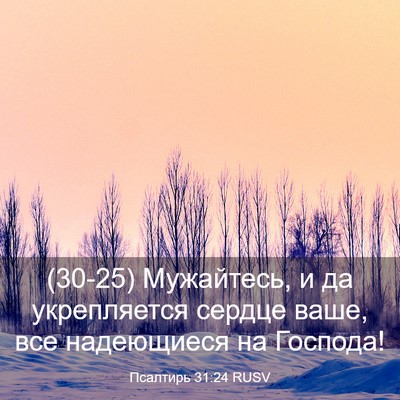 Picture 03 - Псалтирь 31:24 RUSV - (30-25) Мужайтесь, и да - Bible Verse Picture