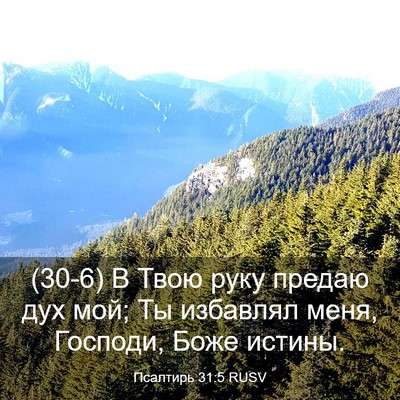 Picture 03 - Псалтирь 31:5 RUSV - (30-6) В Твою руку предаю дух - Bible Verse Picture