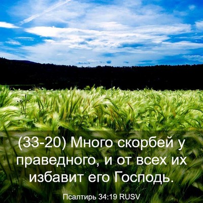 Picture 03 - Псалтирь 34:19 RUSV - (33-20) Много скорбей у - Bible Verse Picture