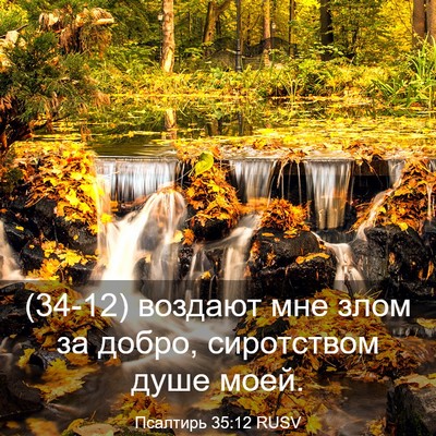 Picture 03 - Псалтирь 35:12 RUSV - (34-12) воздают мне злом за - Bible Verse Picture