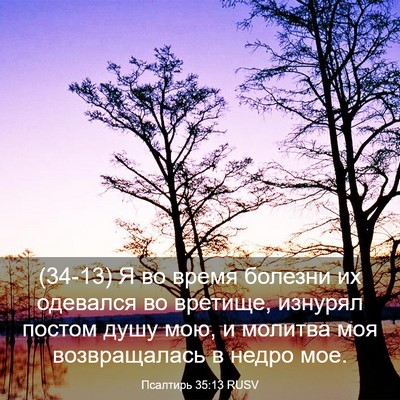 Picture 03 - Псалтирь 35:13 RUSV - (34-13) Я во время болезни их - Bible Verse Picture