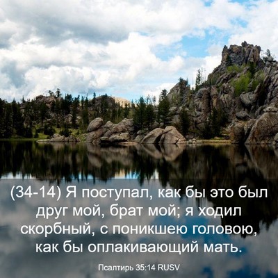 Picture 03 - Псалтирь 35:14 RUSV - (34-14) Я поступал, как бы это - Bible Verse Picture