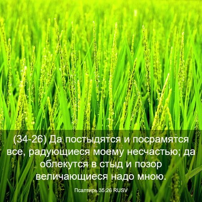 Picture 03 - Псалтирь 35:26 RUSV - (34-26) Да постыдятся и - Bible Verse Picture