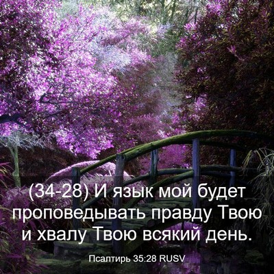 Picture 03 - Псалтирь 35:28 RUSV - (34-28) И язык мой будет - Bible Verse Picture