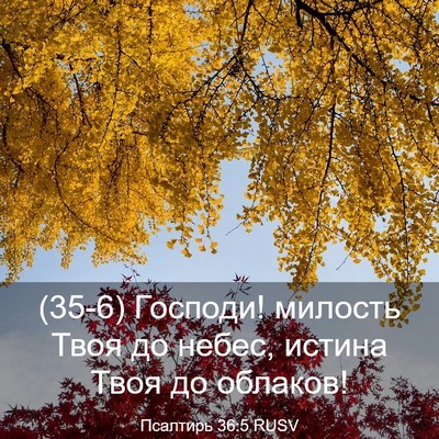Picture 03 - Псалтирь 36:5 RUSV - (35-6) Господи! милость Твоя - Bible Verse Picture