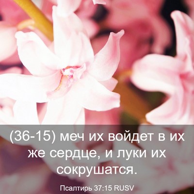 Picture 03 - Псалтирь 37:15 RUSV - (36-15) меч их войдет в их же - Bible Verse Picture