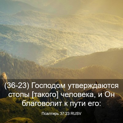 Picture 03 - Псалтирь 37:23 RUSV - (36-23) Господом утверждаются - Bible Verse Picture
