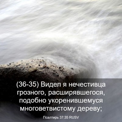 Picture 03 - Псалтирь 37:35 RUSV - (36-35) Видел я нечестивца - Bible Verse Picture