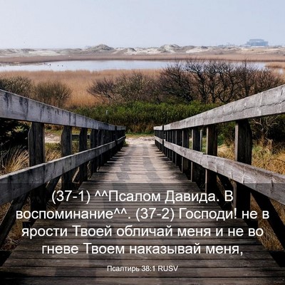 Picture 03 - Псалтирь 38:1 RUSV - (37-1) ^^Псалом Давида. В - Bible Verse Picture