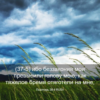 Picture 03 - Псалтирь 38:4 RUSV - (37-5) ибо беззакония мои - Bible Verse Picture