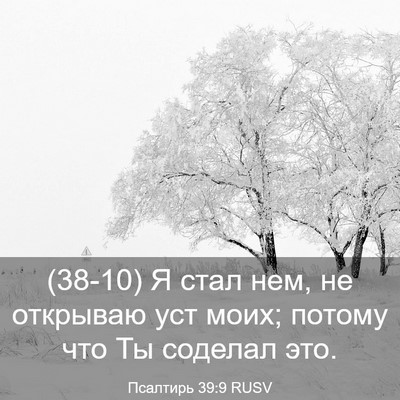 Picture 03 - Псалтирь 39:9 RUSV - (38-10) Я стал нем, не открываю - Bible Verse Picture