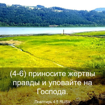 Picture 03 - Псалтирь 4:5 RUSV - (4-6) приносите жертвы - Bible Verse Picture