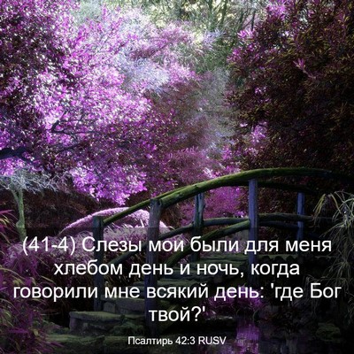 Picture 03 - Псалтирь 42:3 RUSV - (41-4) Слезы мои были для меня - Bible Verse Picture