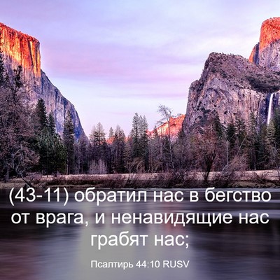 Picture 03 - Псалтирь 44:10 RUSV - (43-11) обратил нас в бегство - Bible Verse Picture