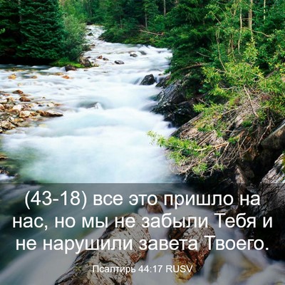 Picture 03 - Псалтирь 44:17 RUSV - (43-18) все это пришло на нас, - Bible Verse Picture