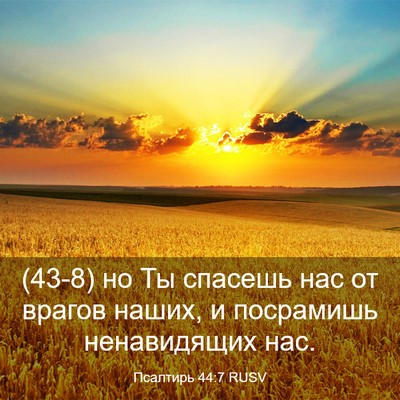 Picture 03 - Псалтирь 44:7 RUSV - (43-8) но Ты спасешь нас от - Bible Verse Picture