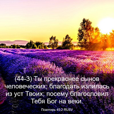 Picture 03 - Псалтирь 45:2 RUSV - (44-3) Ты прекраснее сынов - Bible Verse Picture