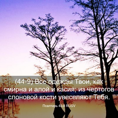 Picture 03 - Псалтирь 45:8 RUSV - (44-9) Все одежды Твои, как - Bible Verse Picture