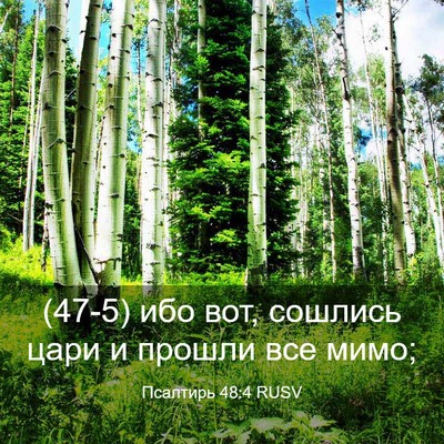 Picture 03 - Псалтирь 48:4 RUSV - (47-5) ибо вот, сошлись цари и - Bible Verse Picture