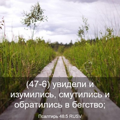 Picture 03 - Псалтирь 48:5 RUSV - (47-6) увидели и изумились, - Bible Verse Picture