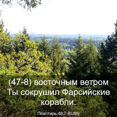 Picture 03 - Псалтирь 48:7 RUSV - (47-8) восточным ветром Ты - Bible Verse Picture