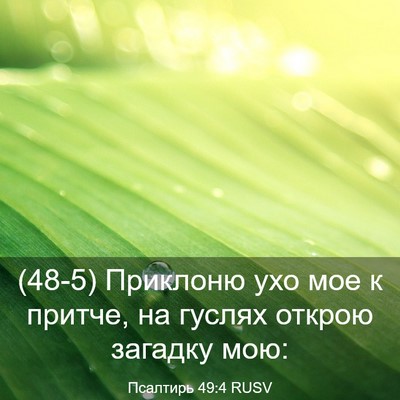 Picture 03 - Псалтирь 49:4 RUSV - (48-5) Приклоню ухо мое к - Bible Verse Picture