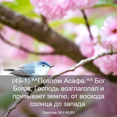Picture 03 - Псалтирь 50:1 RUSV - (49-1) ^^Псалом Асафа.^^ Бог - Bible Verse Picture