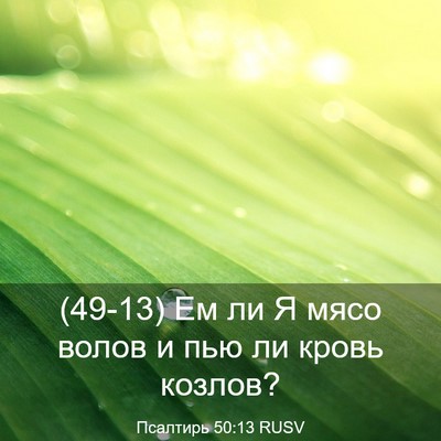 Picture 03 - Псалтирь 50:13 RUSV - (49-13) Ем ли Я мясо волов и - Bible Verse Picture
