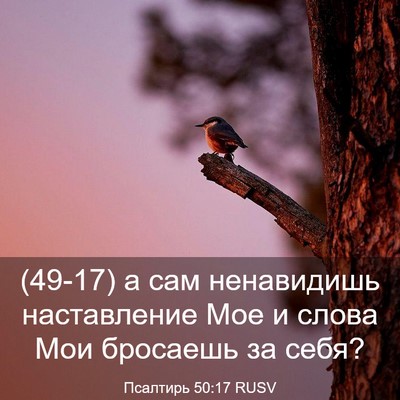 Picture 03 - Псалтирь 50:17 RUSV - (49-17) а сам ненавидишь - Bible Verse Picture