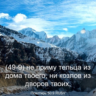 Picture 03 - Псалтирь 50:9 RUSV - (49-9) не приму тельца из дома - Bible Verse Picture