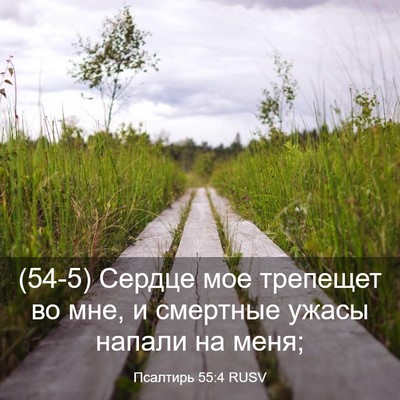 Picture 03 - Псалтирь 55:4 RUSV - (54-5) Сердце мое трепещет во - Bible Verse Picture