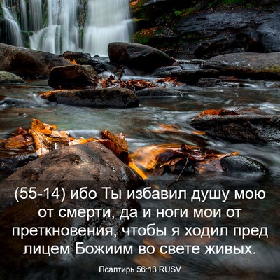 Picture 03 - Псалтирь 56:13 RUSV - (55-14) ибо Ты избавил душу - Bible Verse Picture