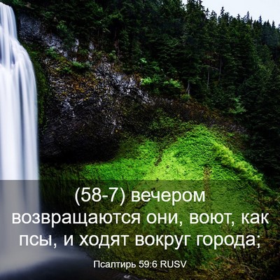 Picture 03 - Псалтирь 59:6 RUSV - (58-7) вечером возвращаются - Bible Verse Picture