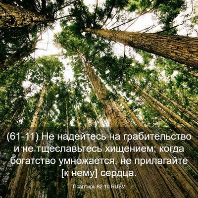 Picture 03 - Псалтирь 62:10 RUSV - (61-11) Не надейтесь на - Bible Verse Picture