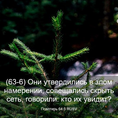 Picture 03 - Псалтирь 64:5 RUSV - (63-6) Они утвердились в злом - Bible Verse Picture