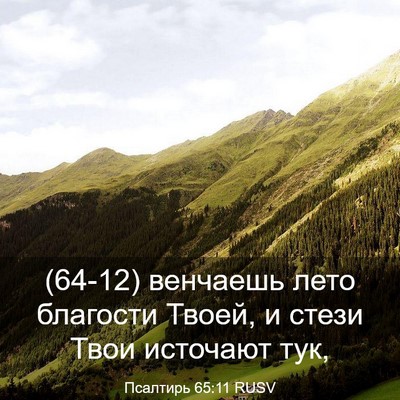 Picture 03 - Псалтирь 65:11 RUSV - (64-12) венчаешь лето - Bible Verse Picture
