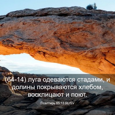Picture 03 - Псалтирь 65:13 RUSV - (64-14) луга одеваются - Bible Verse Picture