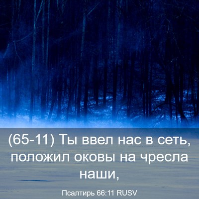 Picture 03 - Псалтирь 66:11 RUSV - (65-11) Ты ввел нас в сеть, - Bible Verse Picture